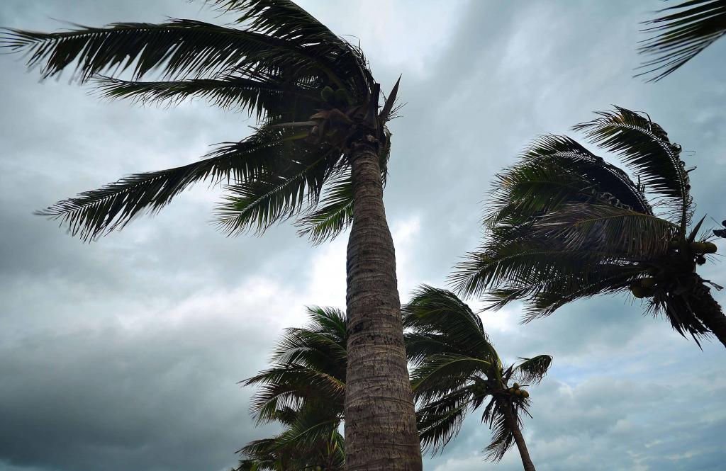 Property Owners, Managers & Tenants: How to Weather the Hurricane Season 32